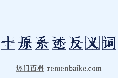 十原系述反义词是什么意思的图片